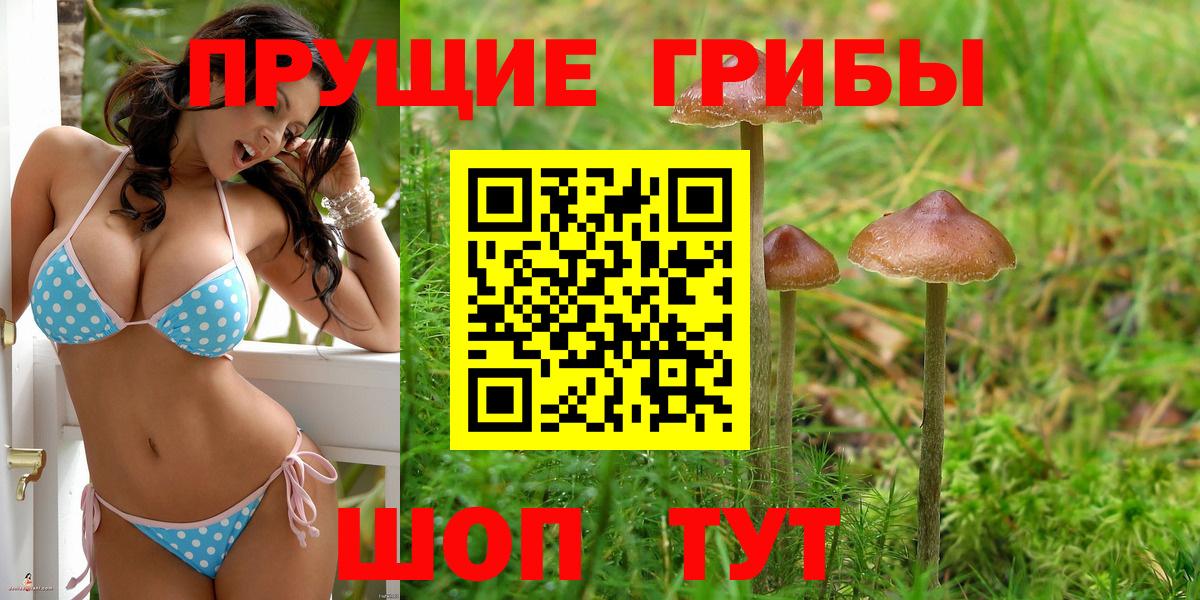 Псилоцибиновые грибы Magic Shrooms  Галлюциногенные грибы MAGIC MUSHROOMS  Амурск  Вход с VPN 